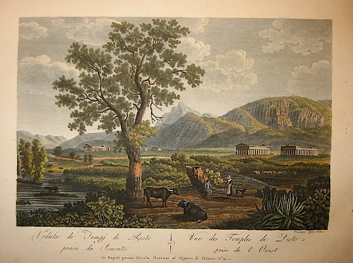 Aloja Vincenzo Veduta de' Tempj di Pesto presa da ponente 1804 Napoli, presso Nicola Gervasi 